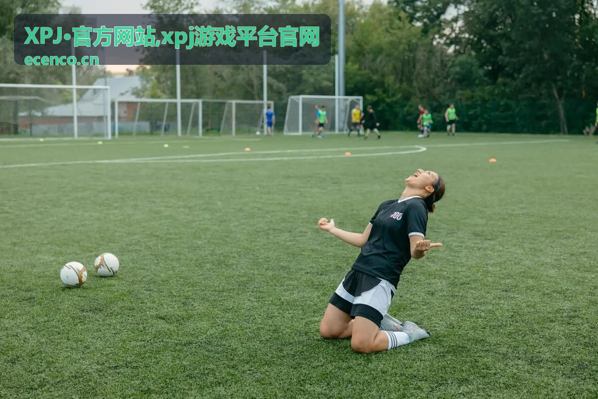 XPJ·官方网站平台入口背景图