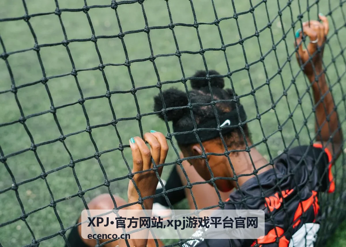 XPJ·官方网站入口视觉面板