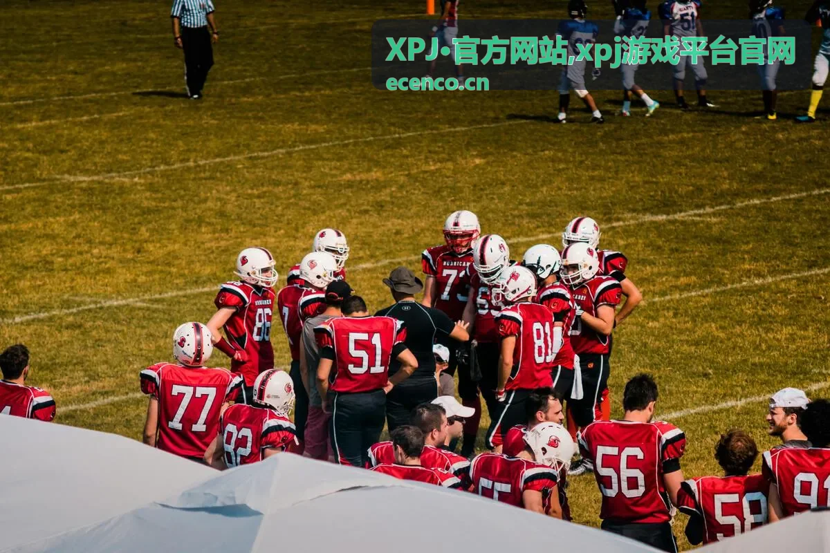 XPJ·官方网站移动体验说明
