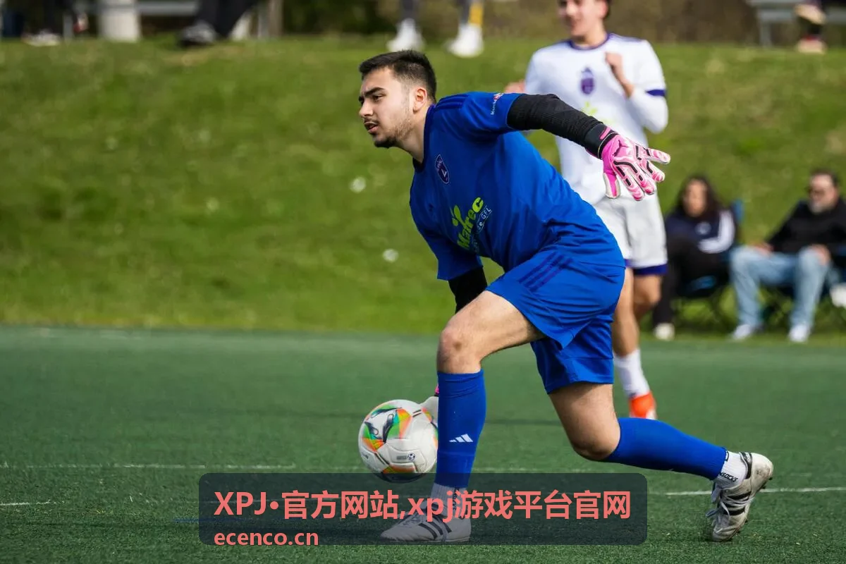 XPJ·官方网站安全服务提示